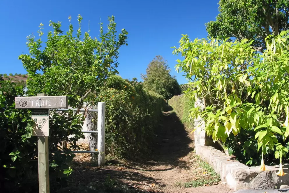 The equestrian trail in Summerland on Lambert Road.