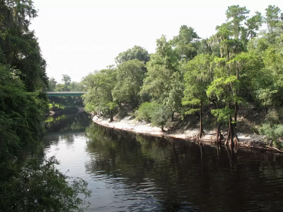The Suwannee River, as seen from White Sulphur Spring bathhouse ruins.