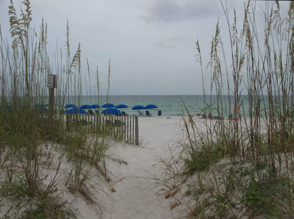 Sea oats and blue umbrellas welcome you.