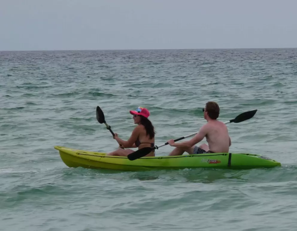 Kayakers out in the water.