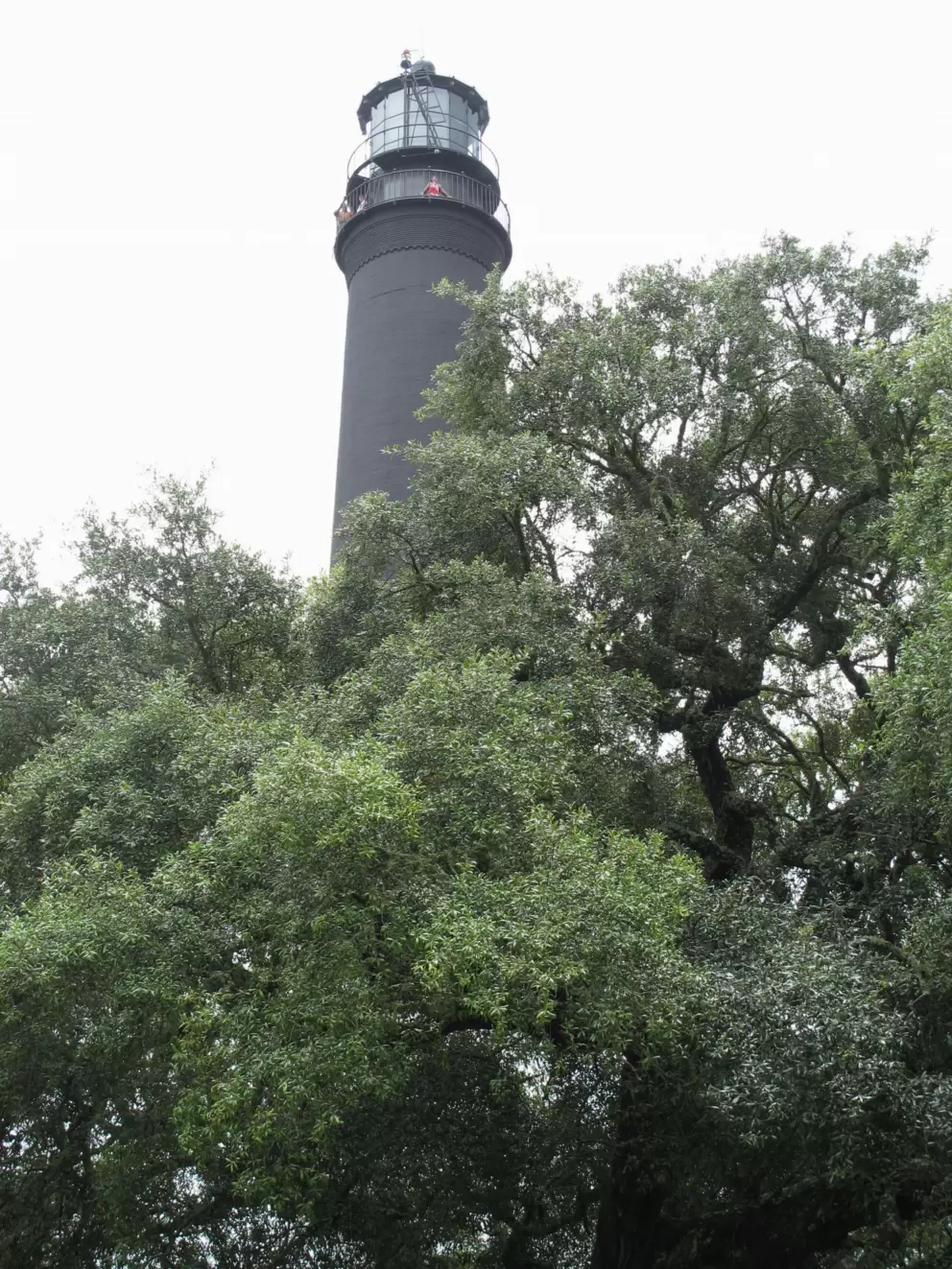 The lighthouse and trees.