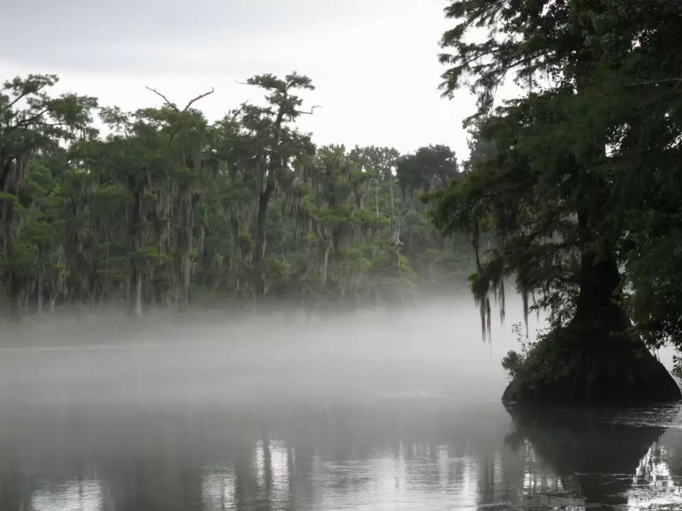 Mist rising over the cool spring water.