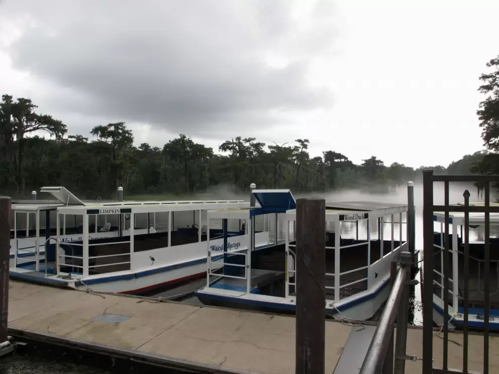 Boats and fog.