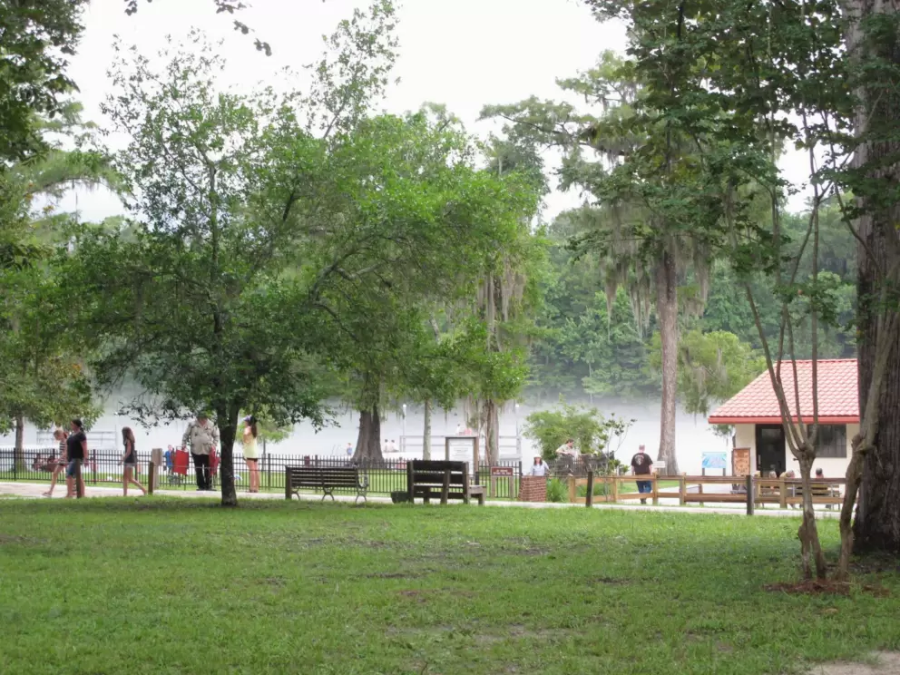 Park-like environment with benches and walkways at the springs.