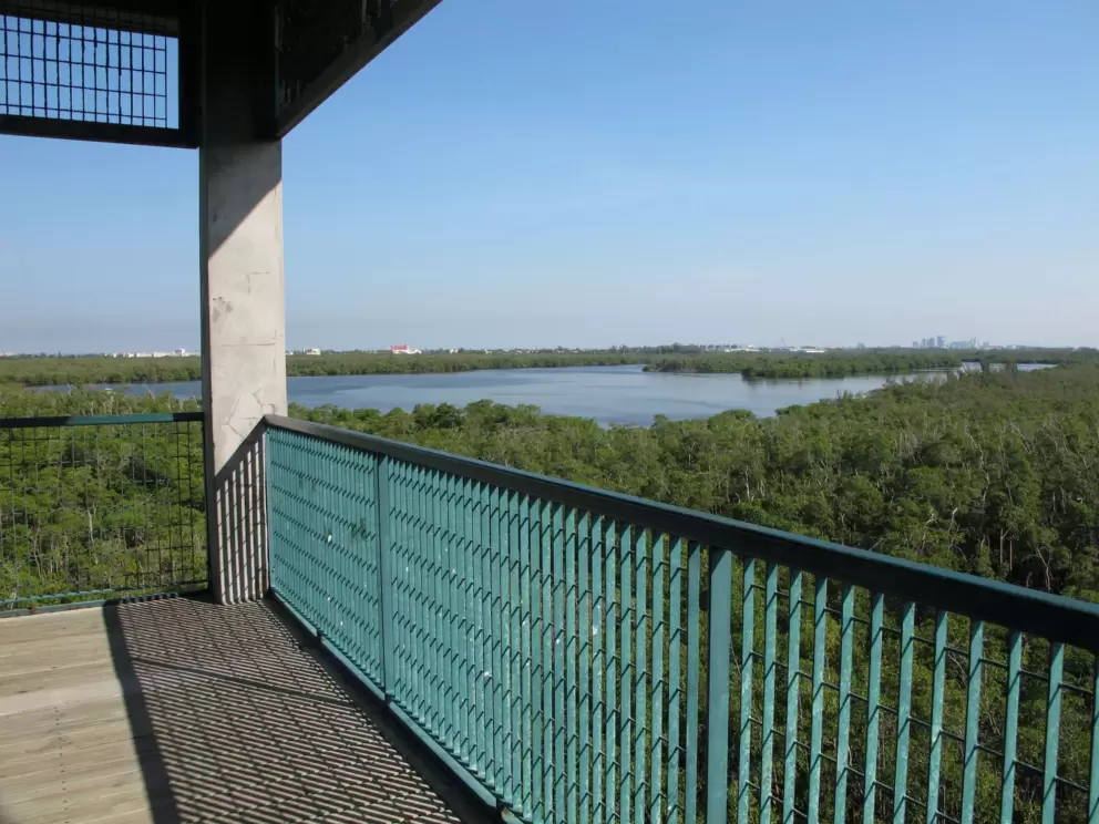 Lake view from the tower.
