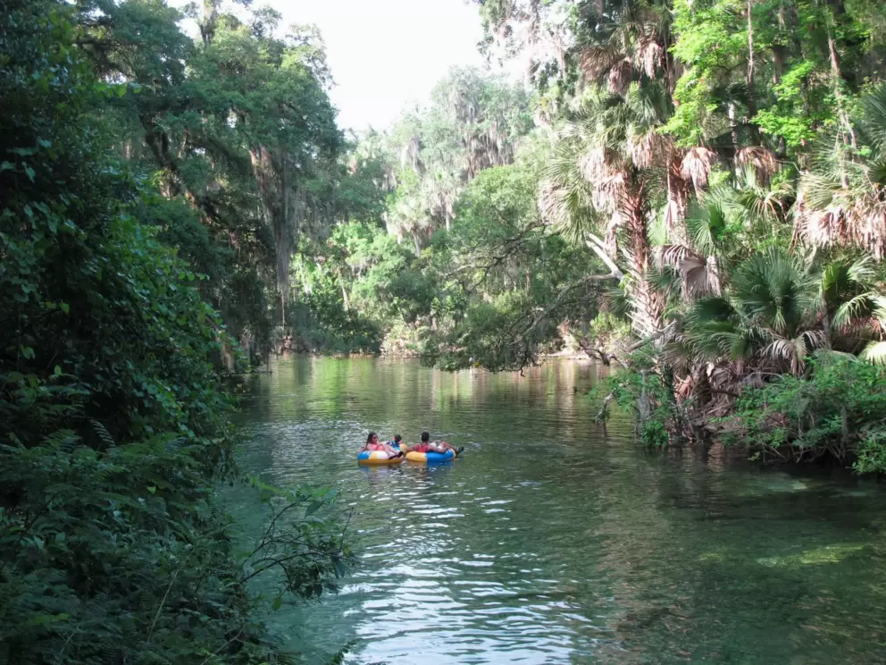 Tubing peacefully down the spring run.