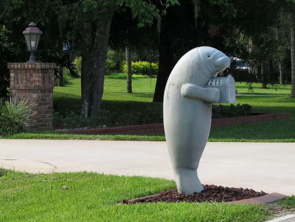 Manatee mailbox on River Ridge Rd.