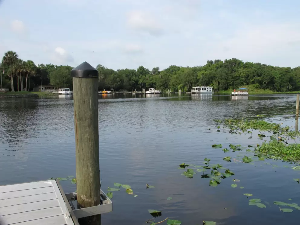 Dock on St. Johns River.