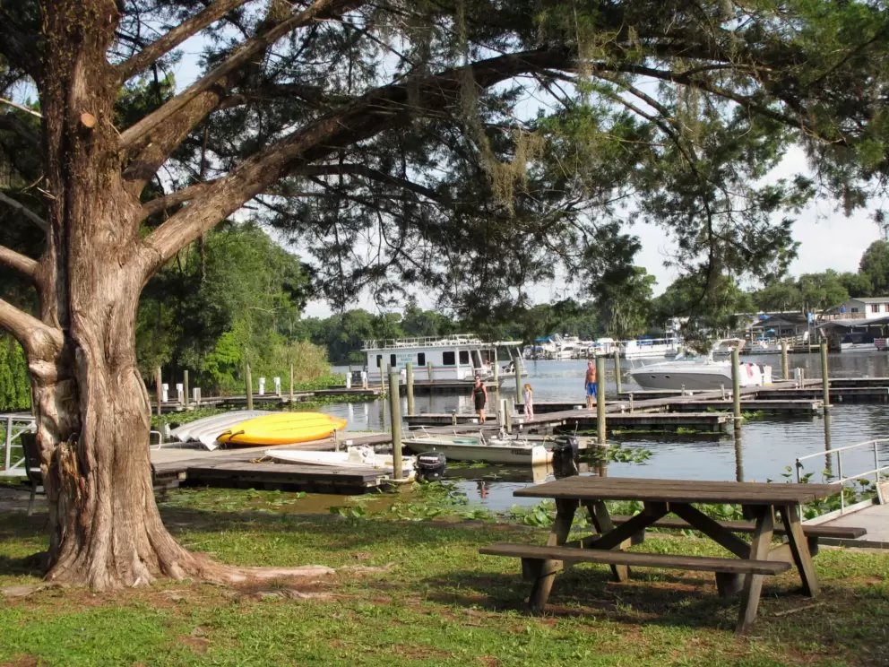 Picnic table and kayaks on Hontoon Island.