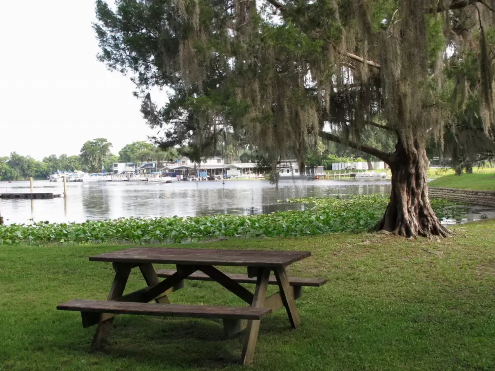 Bench by the water.