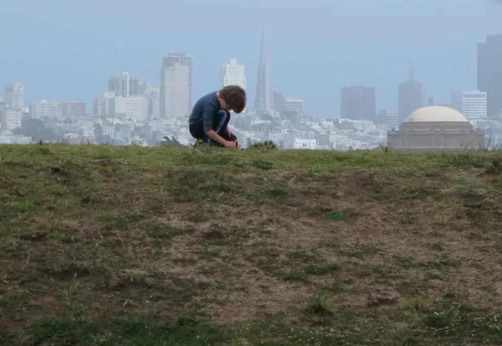 Quiet moment on a hill at Crissy Field.