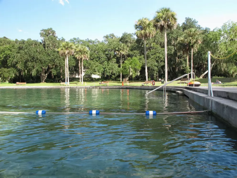 Palm trees and playground beside the pool.