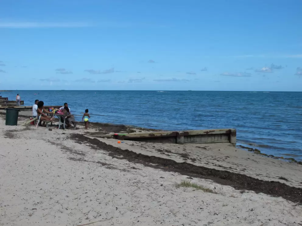 The shoreline is not very appealing.