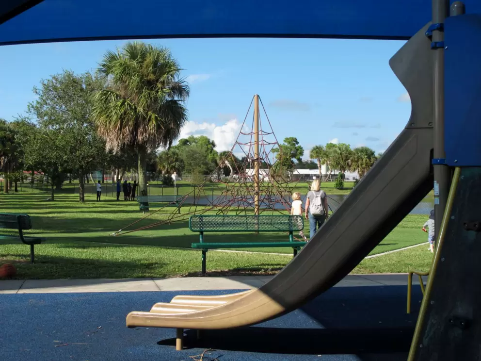 Looking out from under the canopy toward the space net.