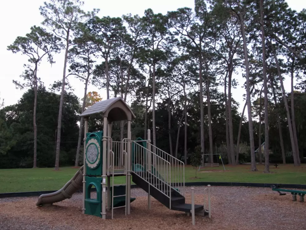 Toddler playground and beautiful trees.