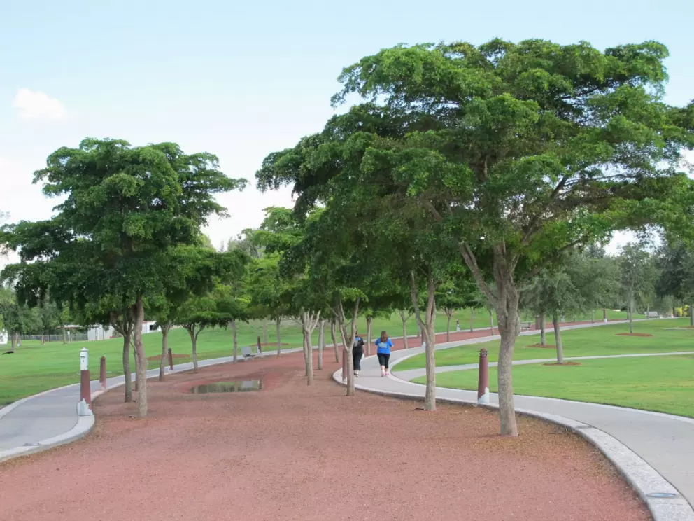 Hilly jogging path.