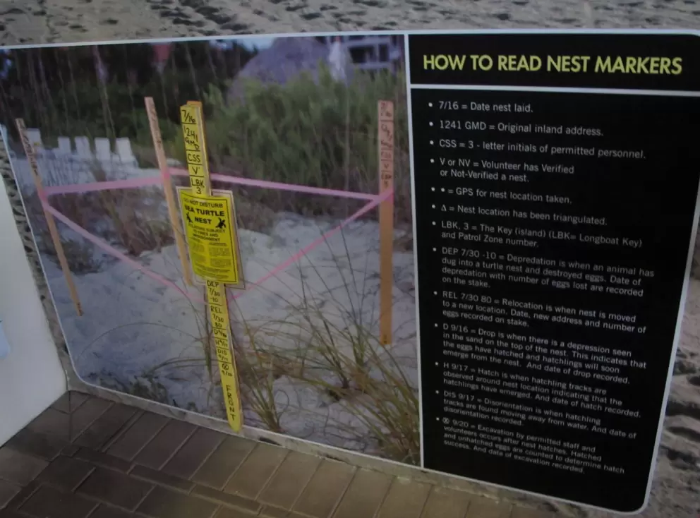 A sign that tells you how to read turtle nest markers.
