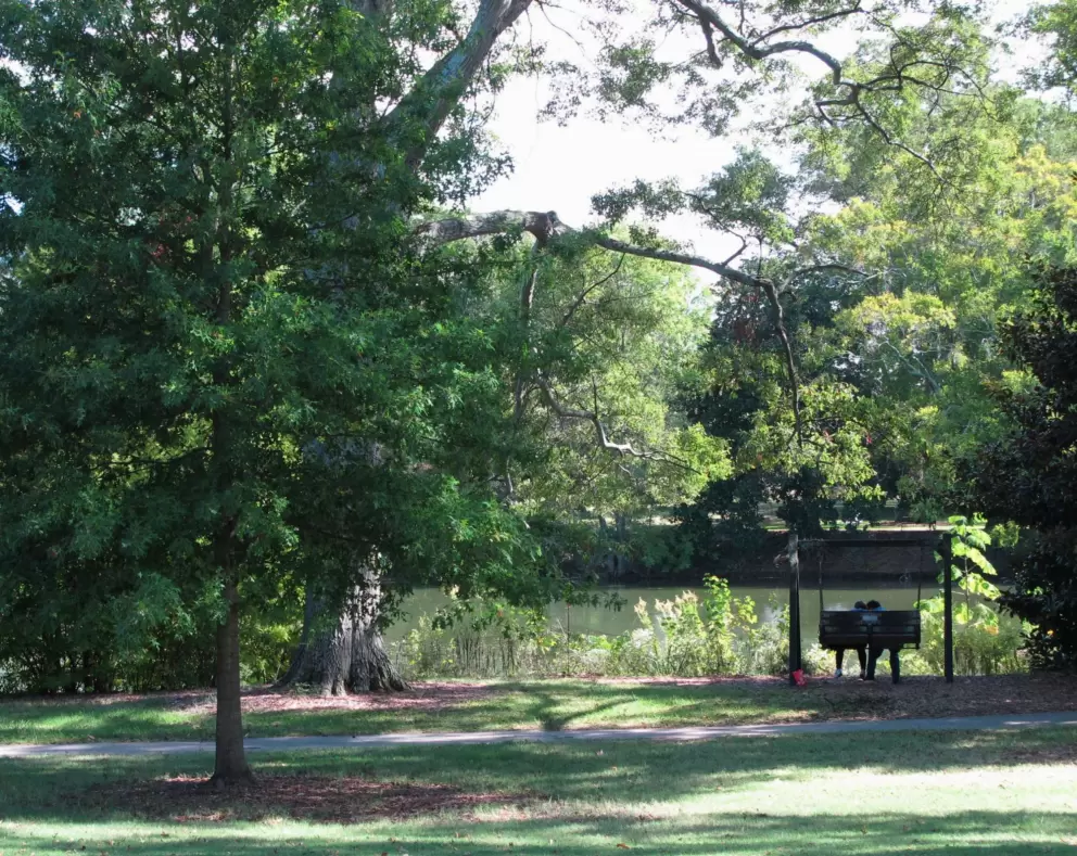 Couple on a swing beside the lake.
