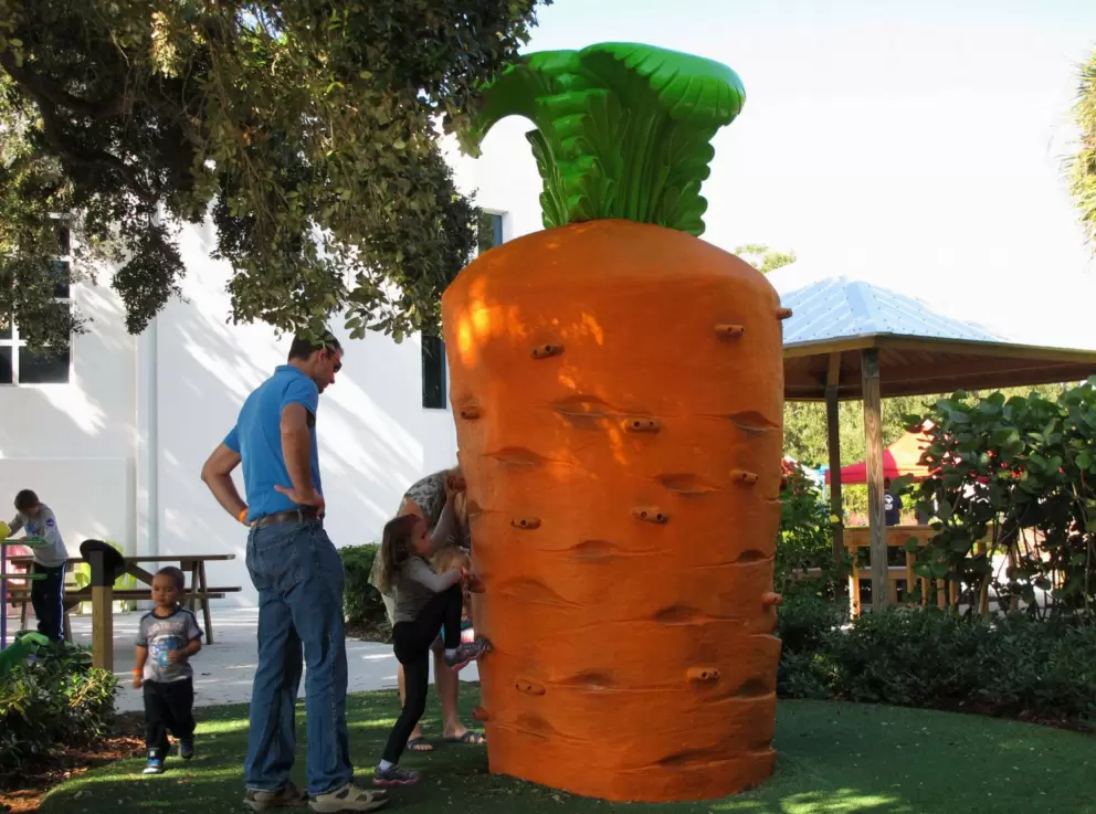 Carrot climby!