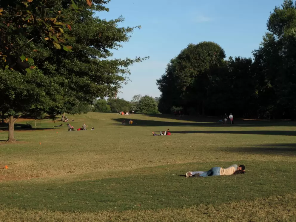End of day cuddle at the lawn near 10th St.