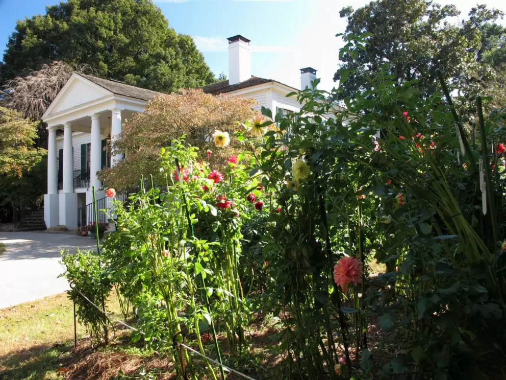 Historic plantation at Stone Mountain, and dahlias.