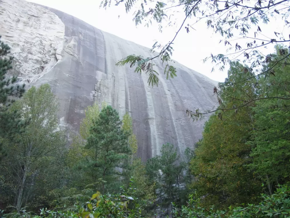 View of the mountain from a secluded area at the side of the great lawn.