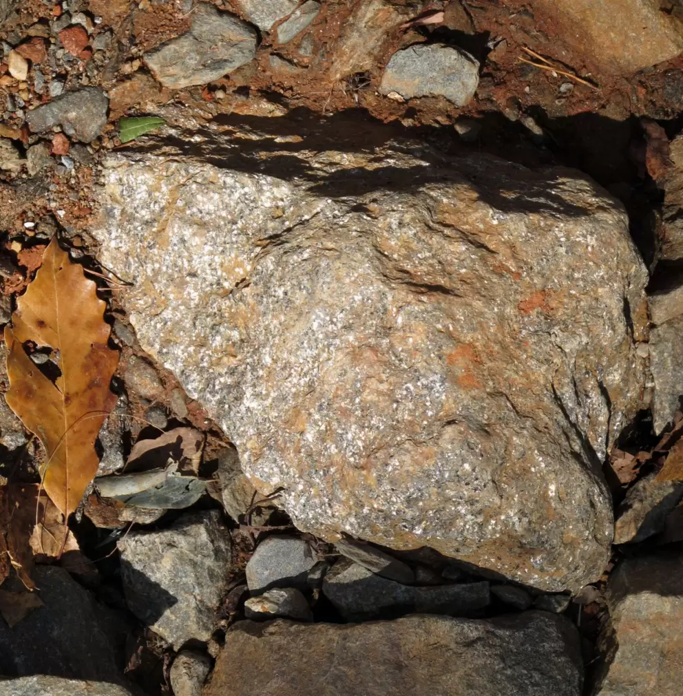 Rock with golden shimmer caused by mica.