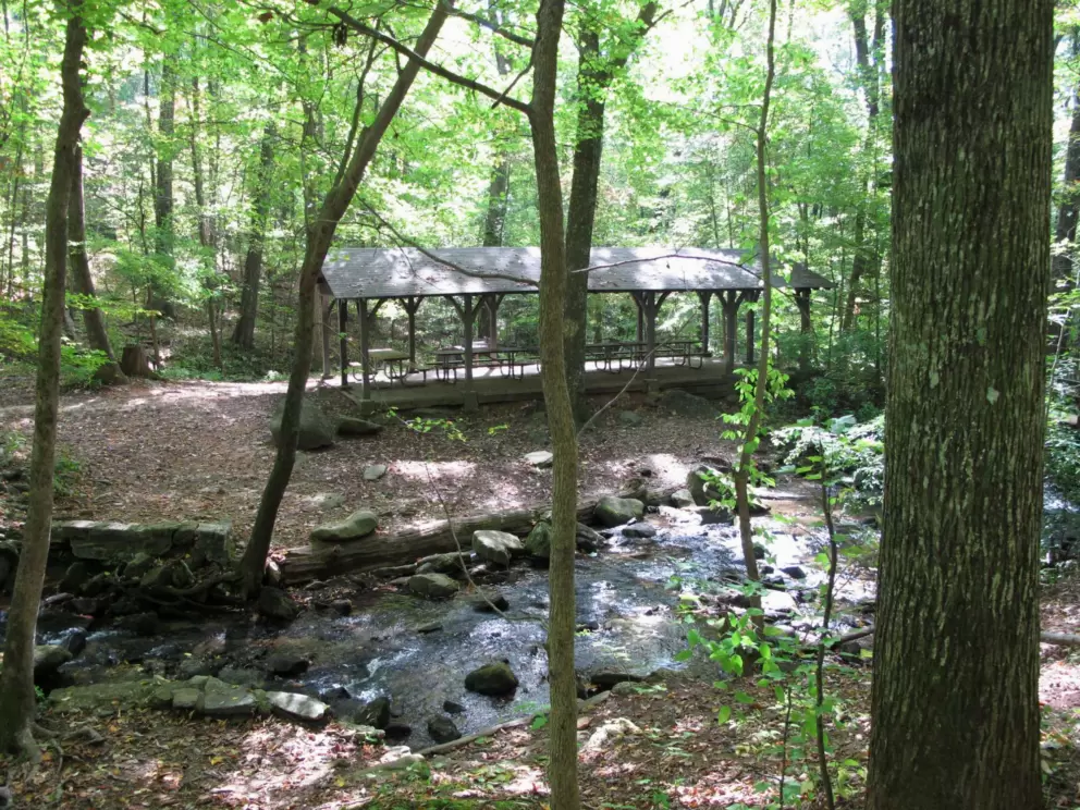 Shaded picnic area near the stream at the lower end of the falls.