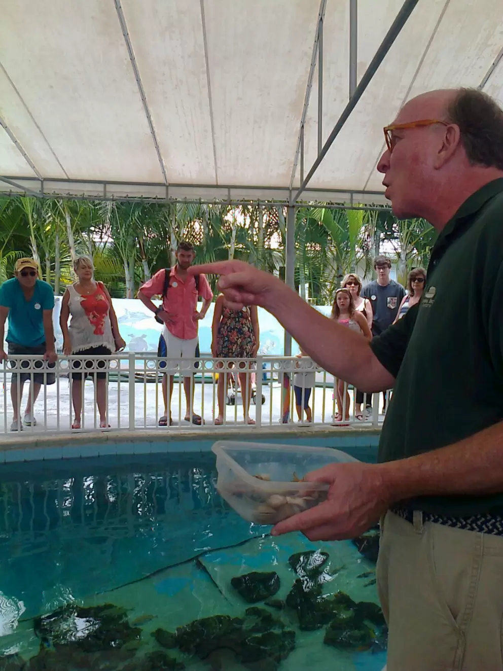 A volunteer teaching us about nurse sharks.