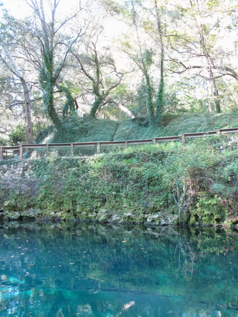 The blue-green water and the green trees. Magic!