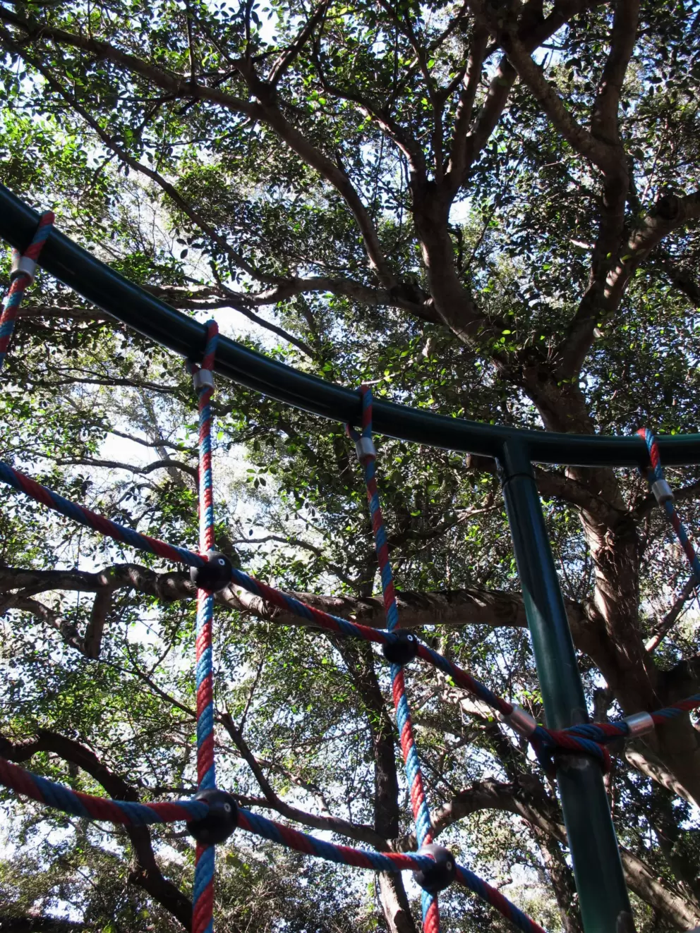 Rope climby that brings you closer to the treetops.