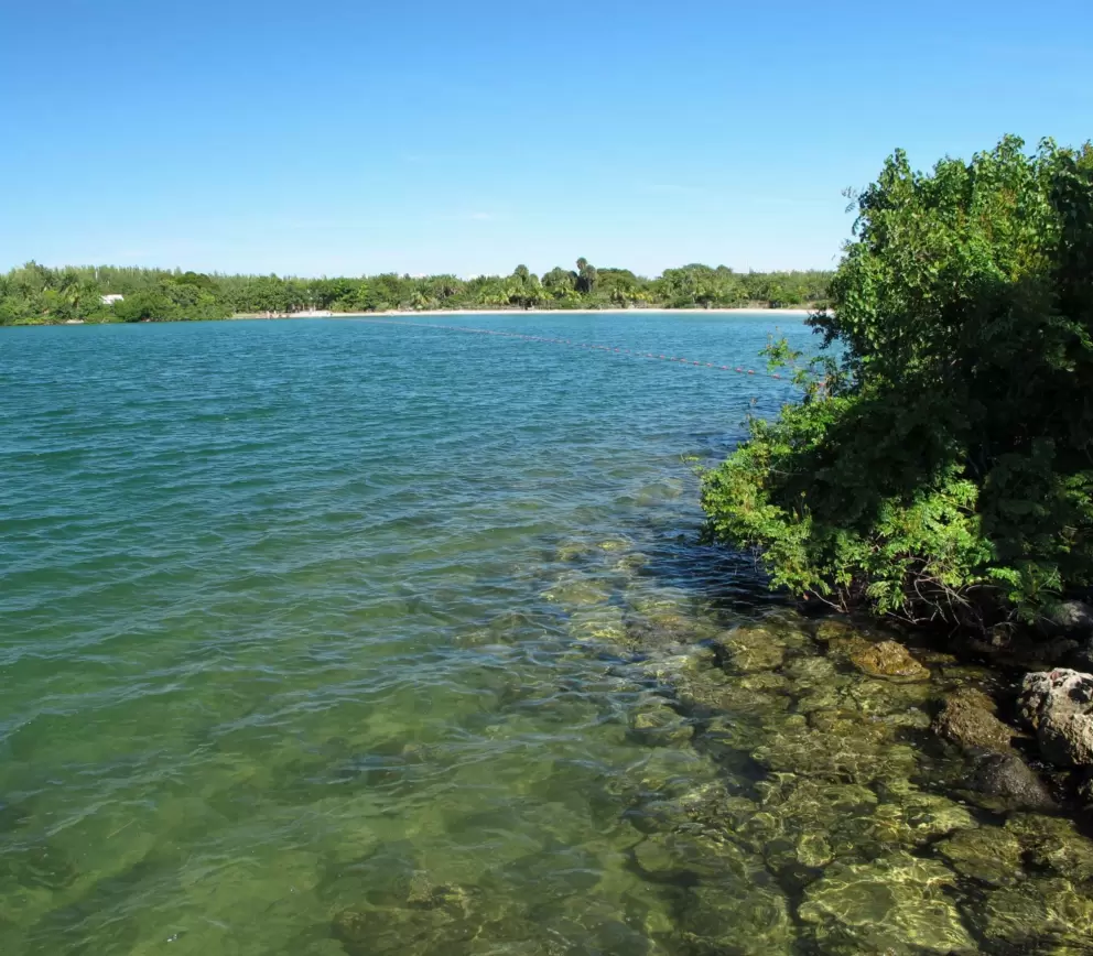 Looking down at the water from the pier.