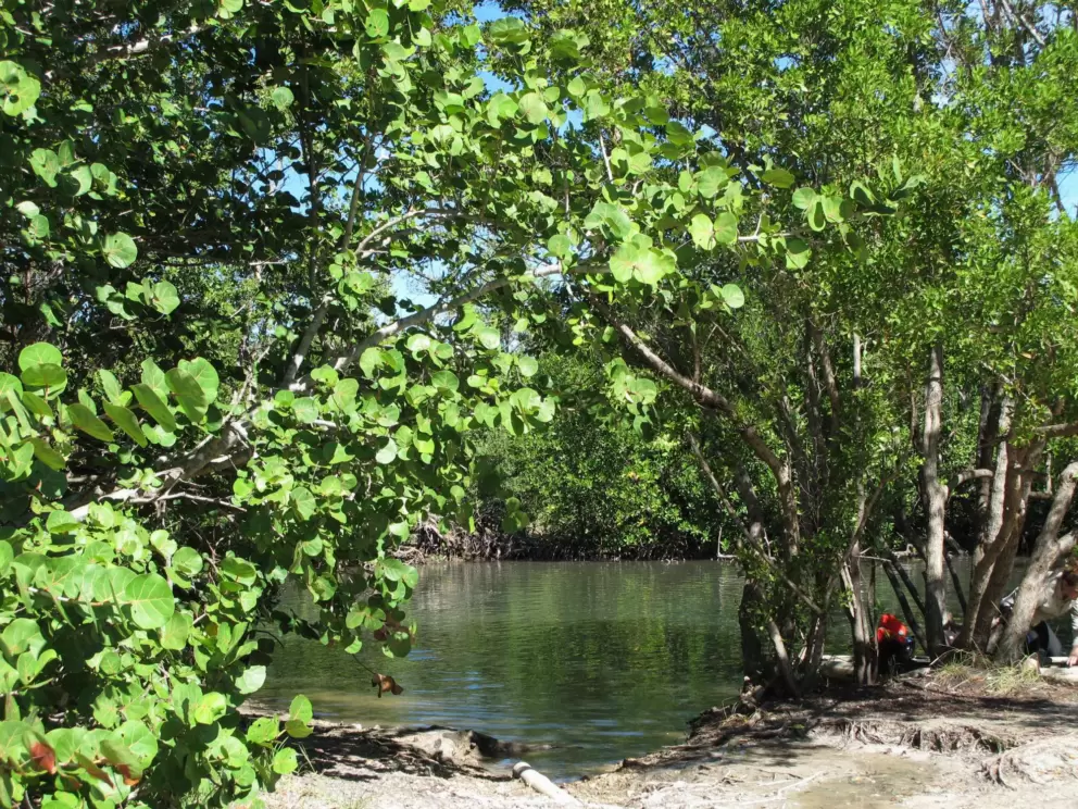 Launch spot for kayaks.
