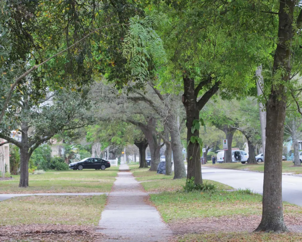 Tree-lined Smith St.
