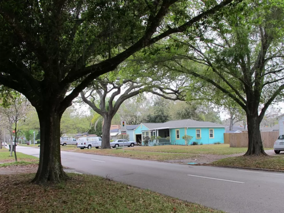 Bright-colored house under large trees on Smith St.