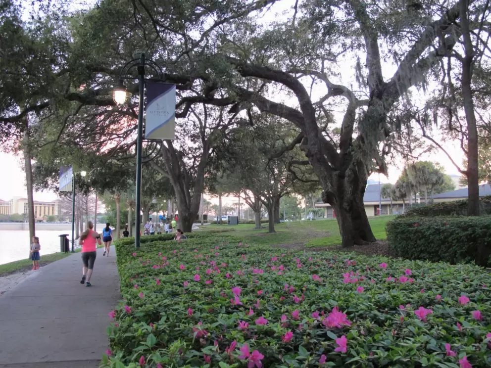 A pretty walk by the lake.