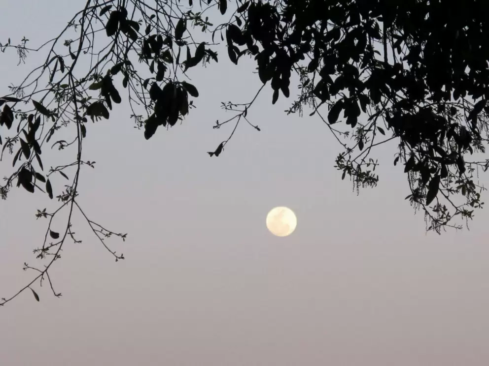 Full moon at Crane's Roost Park.