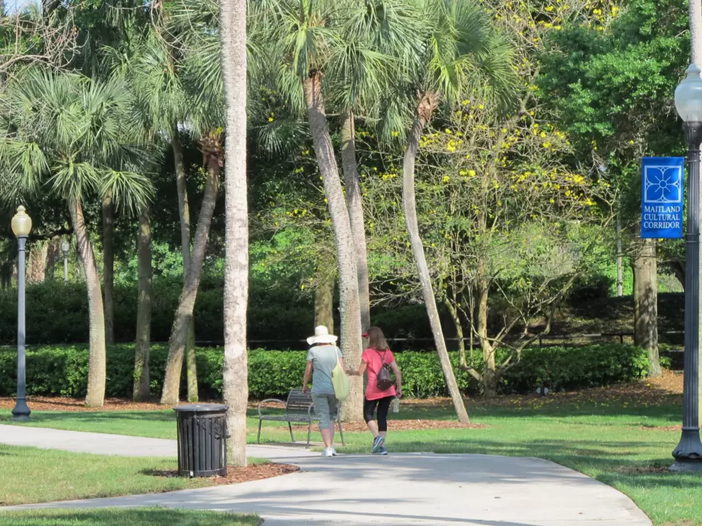 Two ladies walk and chat, past a yellow flowering tree.