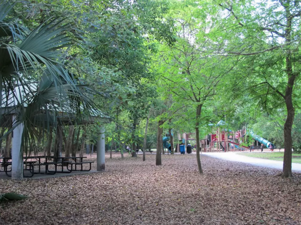 Large shaded picnic area surrounded by pretty trees, near the playground.