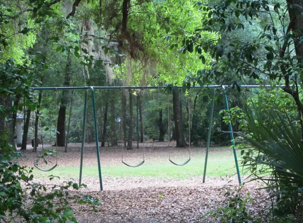 Swings in a beautiful setting.