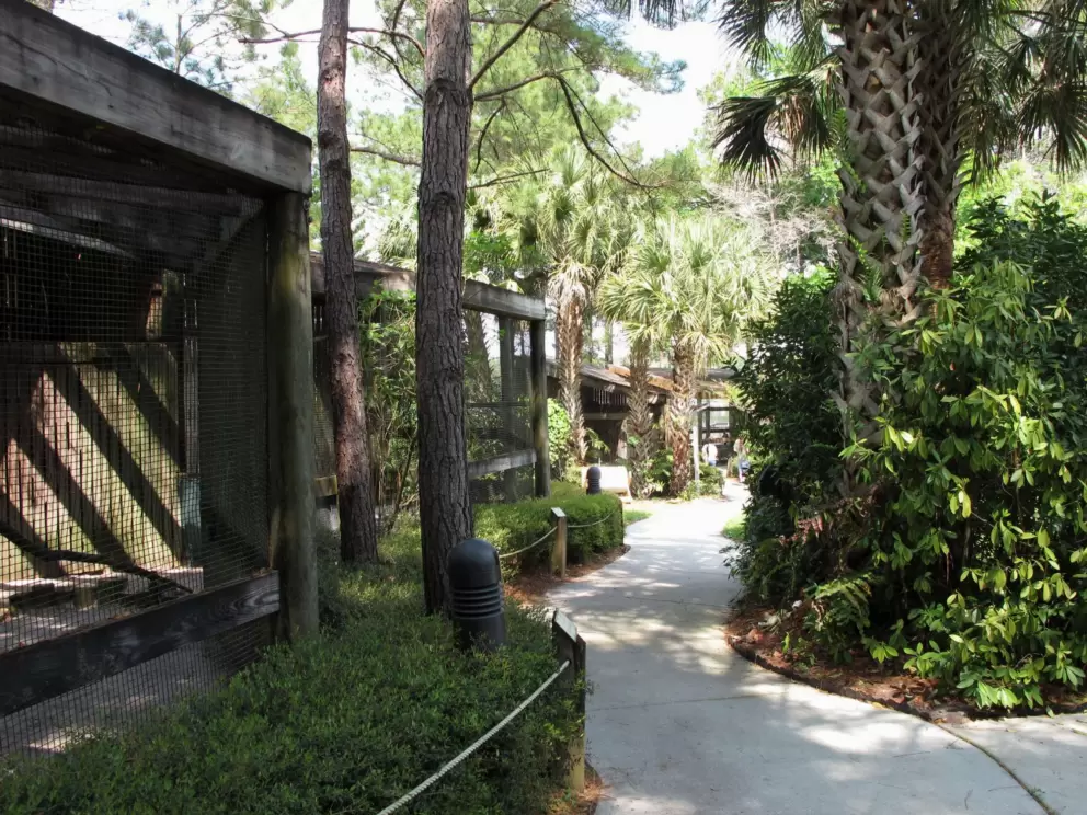 The sloped walkways with cages.