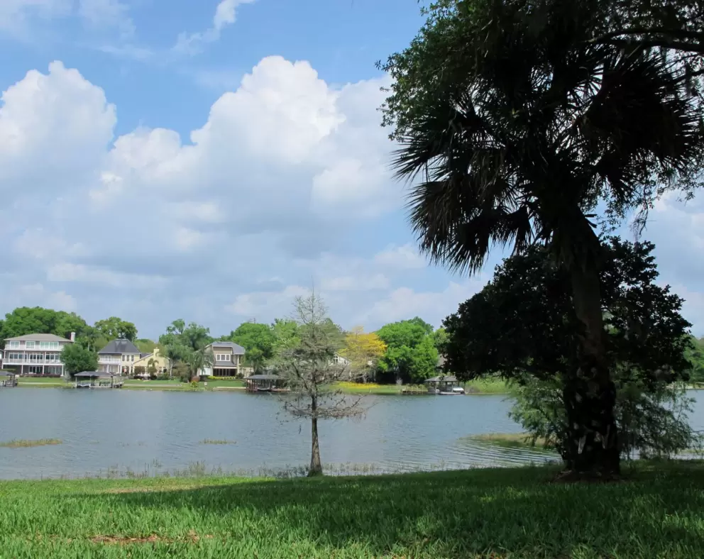 Views from Lake Sybelia Drive- go for a walk after your visit!