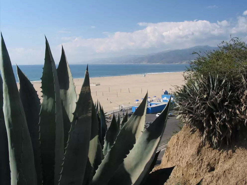 Lovely Santa Monica and its wide, wide beach.