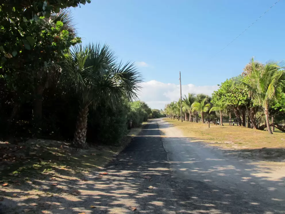 Shady walkway at the top of the dune.