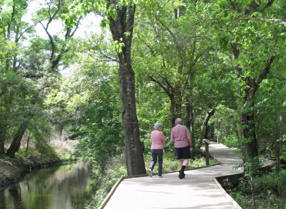 The wooden boardwalk is lovely to walk along.