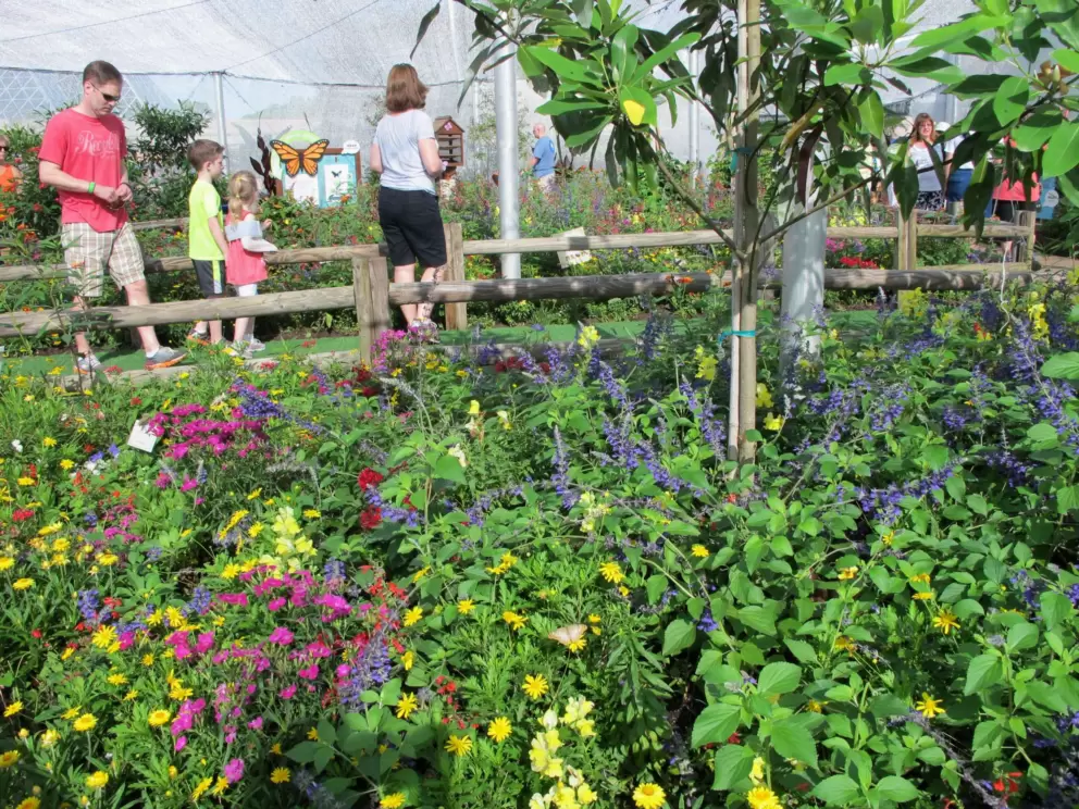 Butterfly garden.