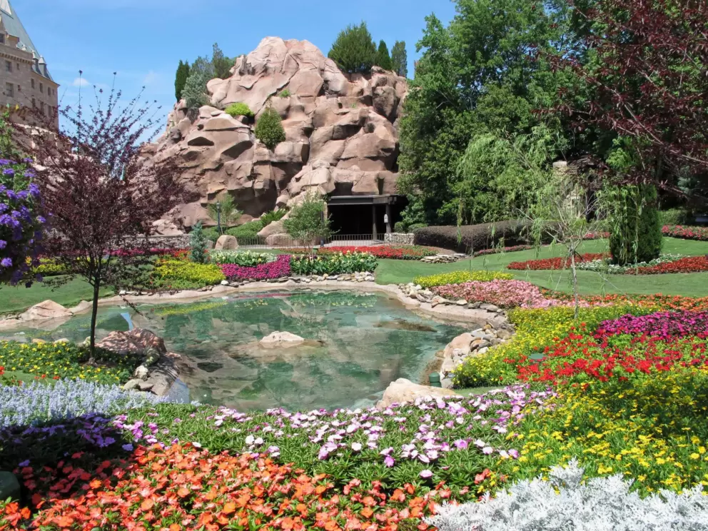 Flowers in Canada.