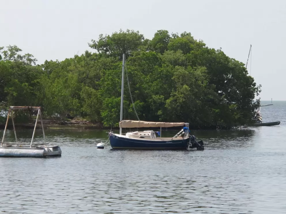 Looking at island and boats from the boardwalk.