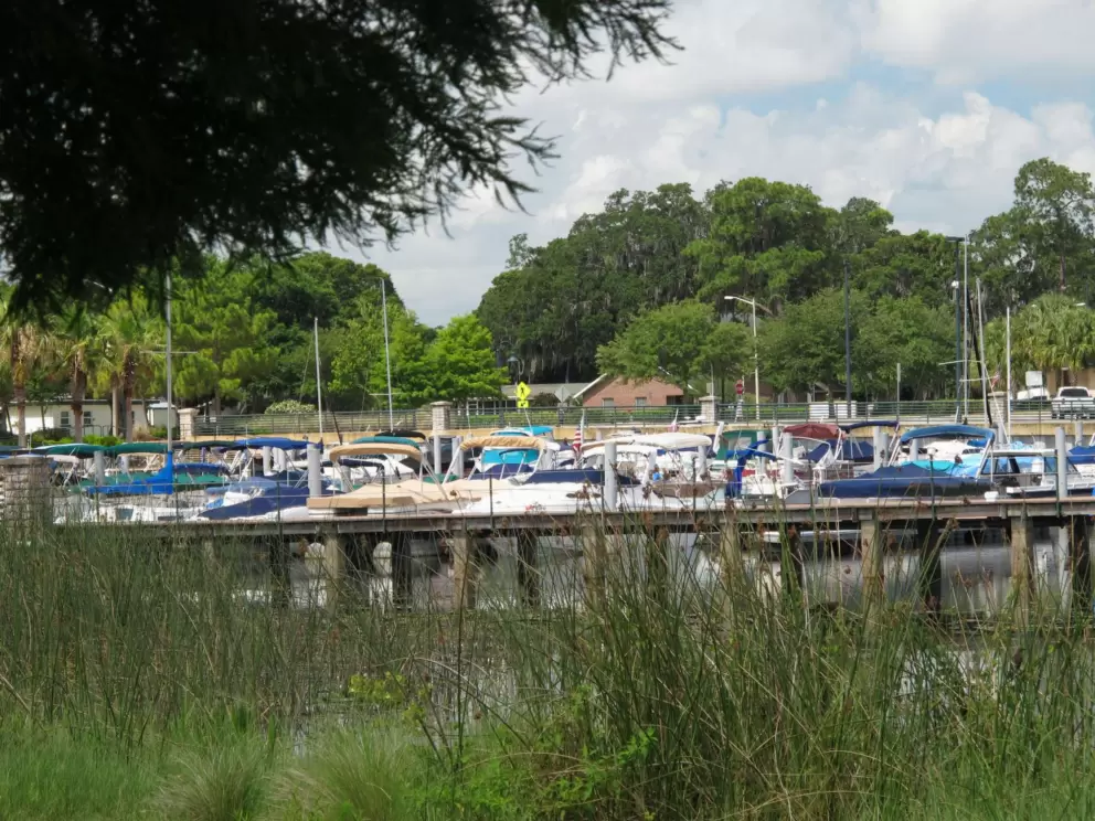 Views of the marina.