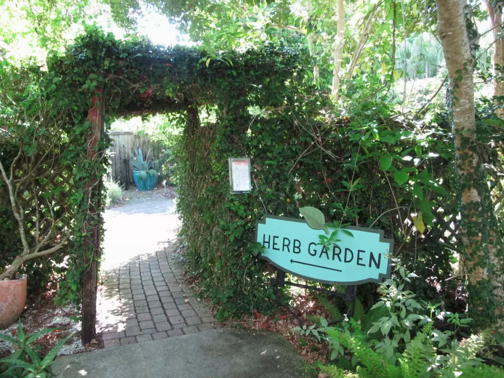 Delightful herb garden entrance.